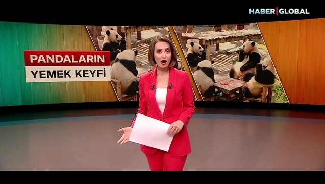 Pandaların yemek keyfi sosyal medyada viral oldu