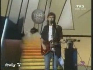 goldman : je marche seul