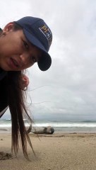 Woman Finally Gets Help Rescuing a Dolphin in Rough Currents