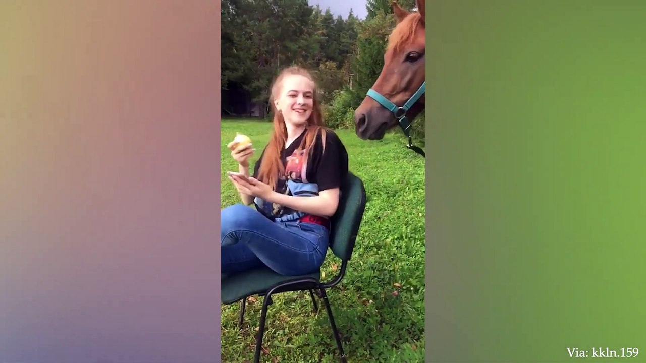- Funny and Cute Horse Videos That Will Change Your Mood For Good-agy9kQ7T-QY-1080p-1657561208549