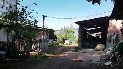 Bombeiros combatem incêndio em vegetação no Centro