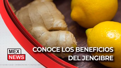 ¡CONOCE TODOS LOS BENEFICIOS DEL JENGIBRE!