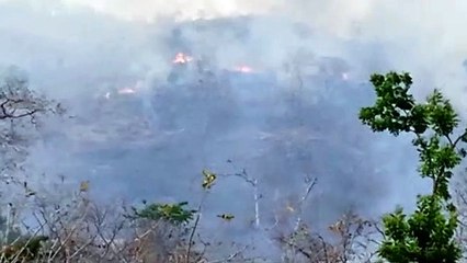 बांसवाड़ा : वन क्षेत्र धधके,मची अफरा तफरी