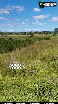 AVIONETA ATERRIZÓ - IMAGENES CAPTADAS