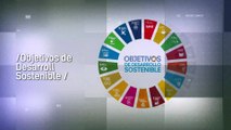 Reporte Climático 90 | El cambio climático a la salud sexual y reproductiva de los jóvenes