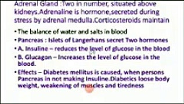 10th PTB Biology Endocrine Glands