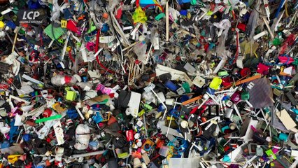 ZED - Zone d'éducation documentaire - En avant citoyens !