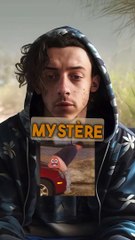 Y’en a ils ont Dupont de Ligonnès et d’autre un mec qui chie sur des voitures.