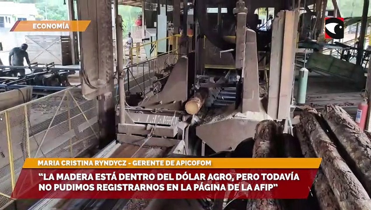 La situación de la madera en el dólar agro