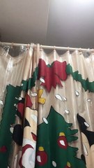 How To Building a Bailey's House Homestead, FL in a After 2022