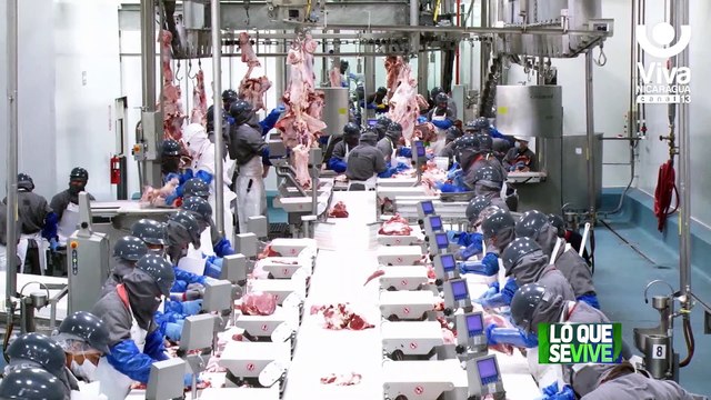 Ministro de Hacienda prevé un aumento en las exportaciones del sector pesquero en el 2023