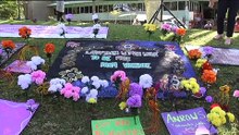 NT Government trying to reduce the soaring domestic violence rates