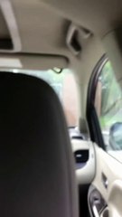 How To Building a Bailey's House Homestead, FL in a After 2022