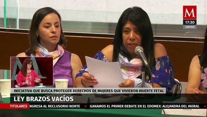 ¿Qué es la 'Ley Brazos Vacíos'? La diputada de Morena, Marisol Gasé lo explica
