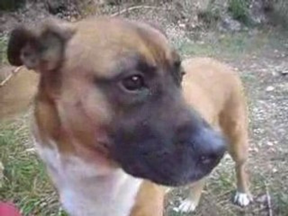 Petite drum du matin 22/03/2008