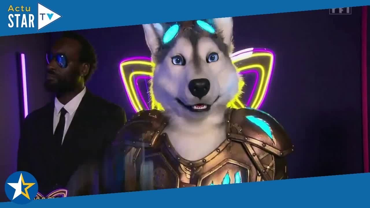Mask Singer : les internautes pensent avoir découvert qui est le Husky ...