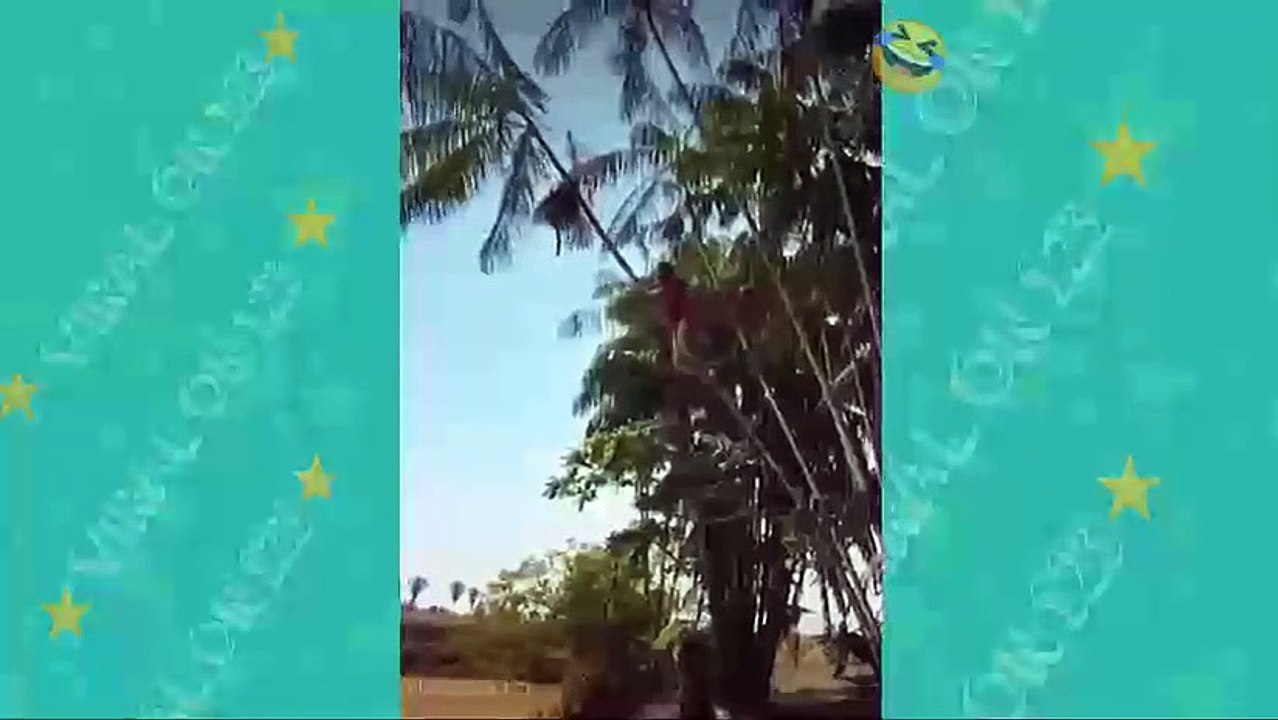 comedy 1