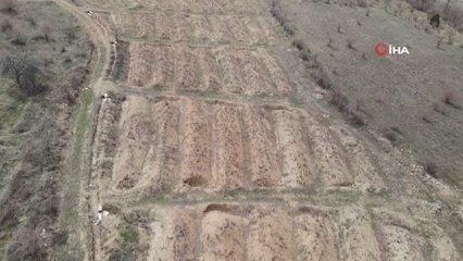 Üzümü bağlarında "ölü kol" hastalığı ile mücadelede uygulamalı eğitim