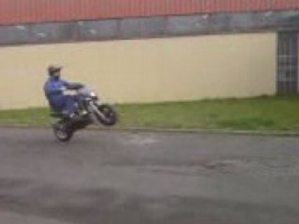 Pinto avec le stunt