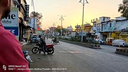 Cattle brawl, traffic closed