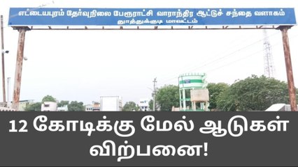 தூத்துக்குடியில் 12 கோடிக்கு ஆடுகள் விற்பனை !