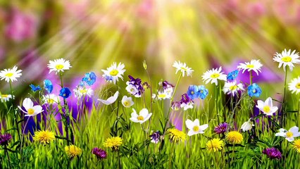 FEEL GOOD MUSIC I  Best Anxiety Relief I  Relaxing Meditation I