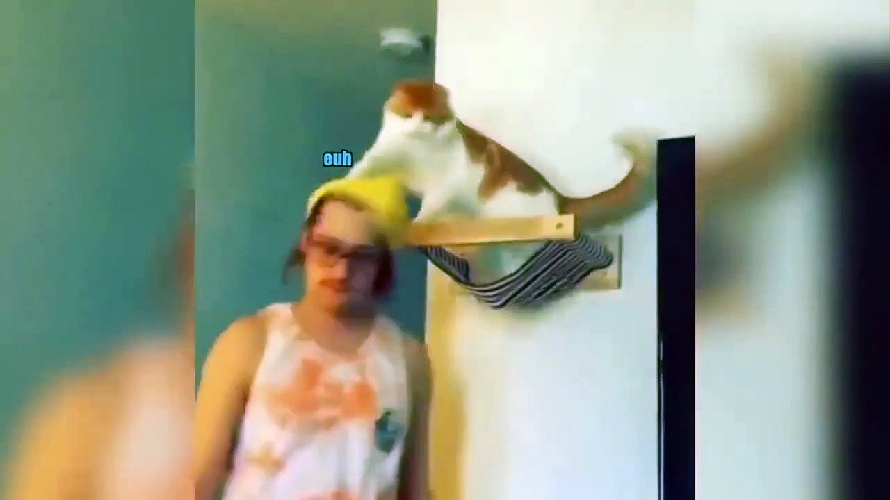 Funniest Animals Video - Best Cats and Dogs Videos of 2023 Compilation!#1