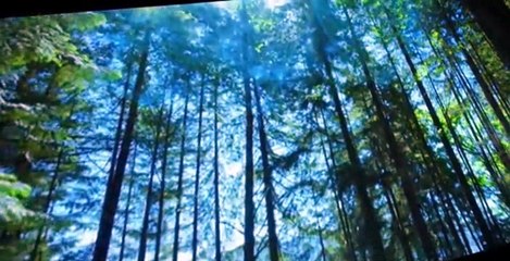 Altered Carbon S01 E04