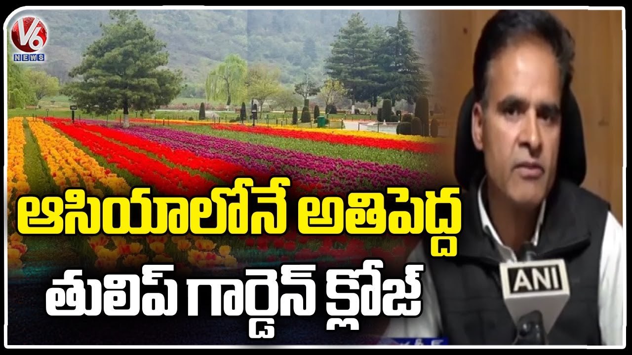 Tulip Garden In Jammu and Kashmir Closed For Visitors _ V6 News