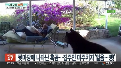 [지구촌톡톡] 집 뒷마당에 나타난 흑곰 "내가 더 놀랐어요!" 外