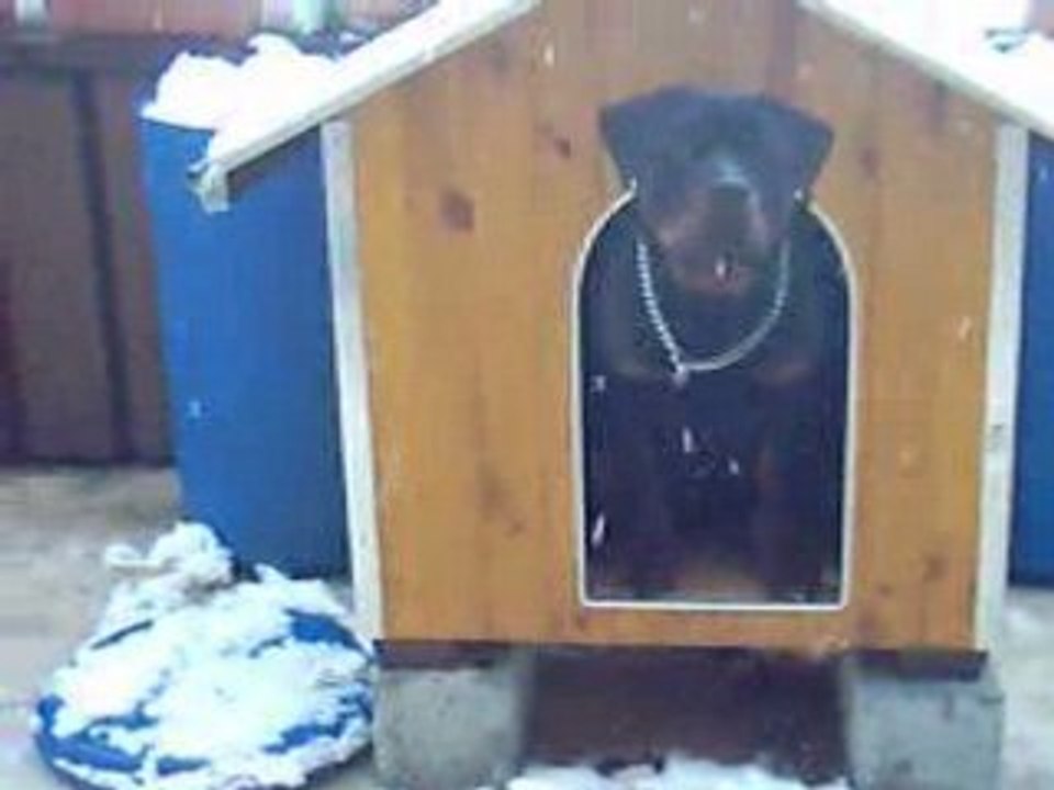 Nouveau jeu de balle