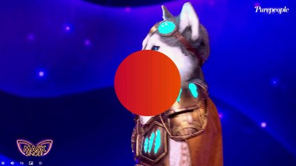 Mask Singer 5 - Le Husky : Kev Adams totalement perdu, son identité loin d'être démasquée