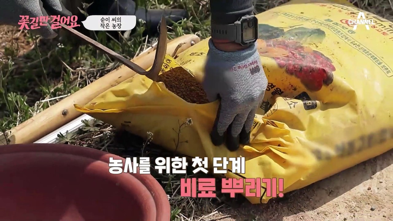 불편한 몸으로도 빼곡히 차 있는 순이 씨의 농사 계획, 그녀를 위해 길동무가 나섰다♨