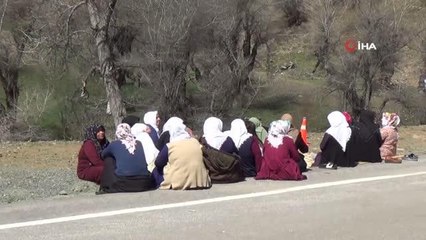 250 kişilik ekip Munzur Çayı'na düşen kayıp 3 genç için seferber oldu