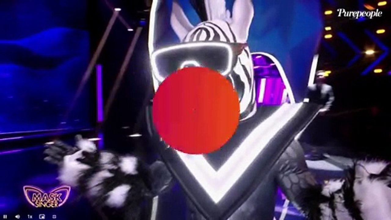 Mask Singer 5 - Qui se cache sous le costume du zèbre ? Tous les indices dévoilés