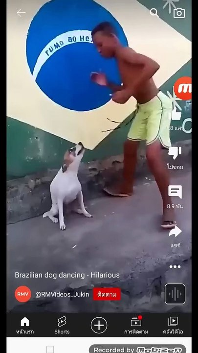 Funny Comedy Dog Dance