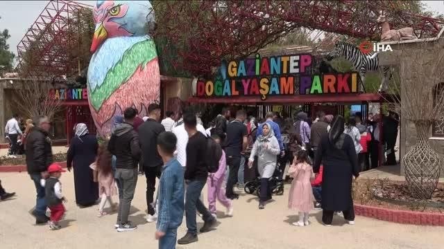 Gaziantep Hayvanat Bahçesi'nde bayram yoğunluğu
