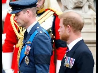 Harry non indosserà l'uniforme militare all'incoronazione, ma King potrebbe consentire diversi tribu