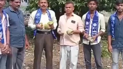 జన్నారం: అకాల వర్షాలు.. నేలరాలిన మామిడి..!