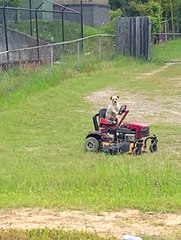 He's Earning His Keep