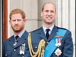 La relazione di Harry con il fratello tocca il 'fondo' mentre William 'immensamente ferito' da Spare