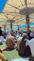 Madina urdu naat Ramzan