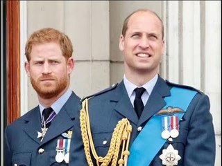 La relation de Harry avec son frère touche le "fond" alors que William est "immensément blessé"