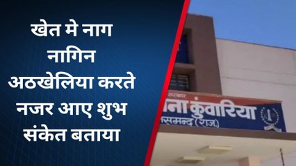 राजसमंद: खेत में रोमांस करने लगे नाग- नागिन, बताया शुभ संकेत, देखें VIDEO