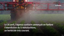 Pesticides : les vraies raisons du bras de fer entre l’Anses et le gouvernement