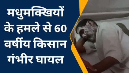 उन्नाव: मधुमक्खियों के हमले से वृद्ध किसान घायल, सीएचसी से जिला अस्पताल रेफर