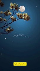 SHAN AMMI AYESHA MAQABAT