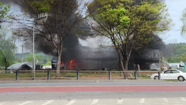 경기 고양 비닐하우스에서 불...2동 피해 / YTN