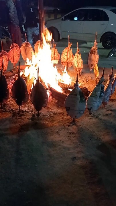 Fish Sajji
