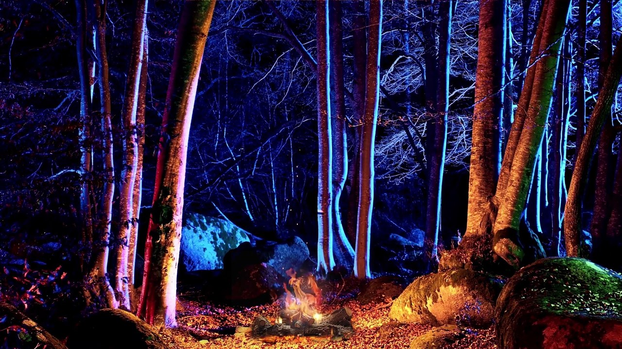 Earth's Symphony A Soundtrack for the Beauty of Nature
